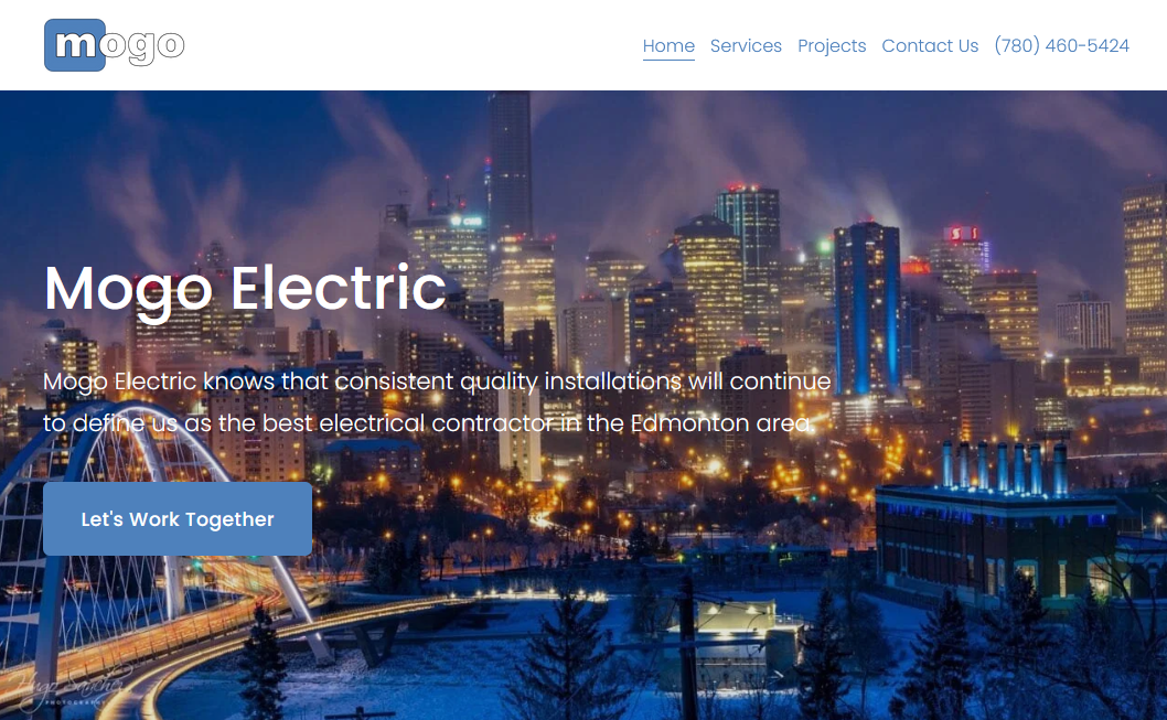 Mogoelectric website preview